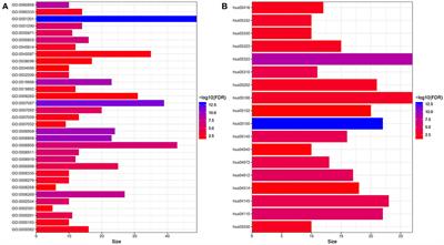 Development and Validation of a 9-Gene Prognostic Signature in Patients With Multiple Myeloma